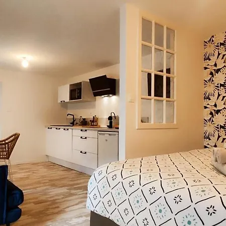 Apartment La Douce Angevine - La Chouette - Proche Centre