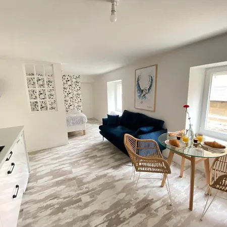 Apartment La Douce Angevine - La Chouette - Proche Centre *