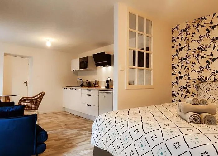 Appartement La Douce Angevine - La Chouette - Proche Centre